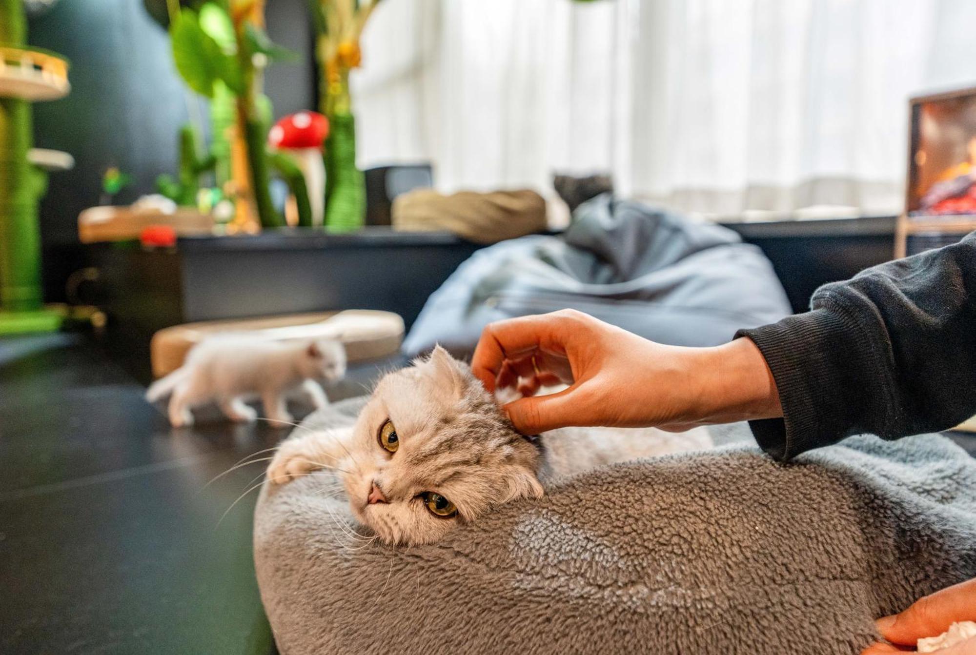 Hesu Designer Hotel & Suites -Near Xi'An Drum Tower And Yongning Gate -Free Laundry Luggage Storage -Kitty Cafe With Freshly Ground Coffee -24H Front Desk -English Service Exterior foto